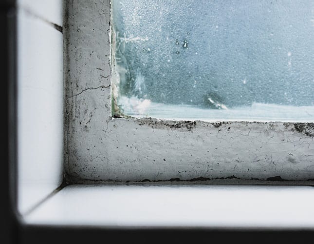 water filling window well water filling window well